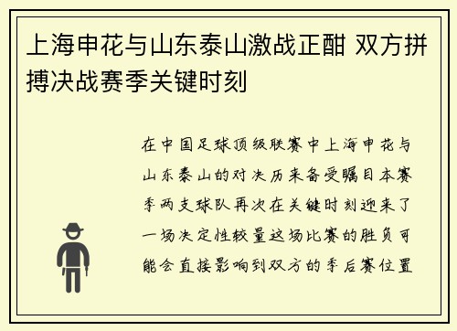 上海申花与山东泰山激战正酣 双方拼搏决战赛季关键时刻