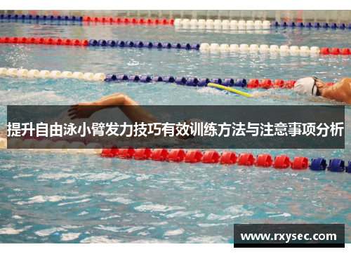 提升自由泳小臂发力技巧有效训练方法与注意事项分析