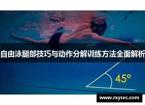 自由泳腿部技巧与动作分解训练方法全面解析