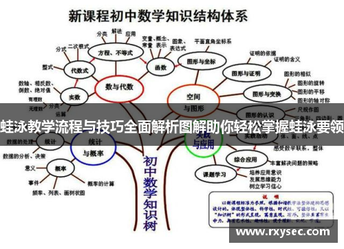 蛙泳教学流程与技巧全面解析图解助你轻松掌握蛙泳要领